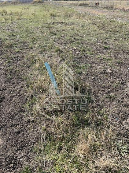 DE VANZARE – Teren 758 mp, zona Metro 2 – cu potential excelent de dez