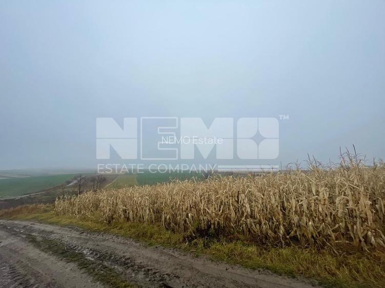TEREN EXTRAVILAN | DOUA PARCELE 2.84 HA| DARMANESTI - 16