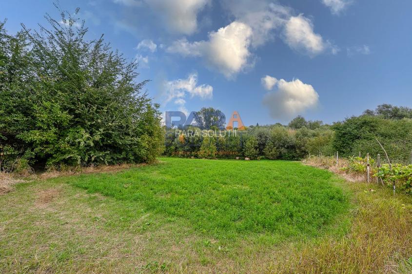 Casă interbelică + 3.060 mp intravilan, Trifești, 7,9 km de Roman