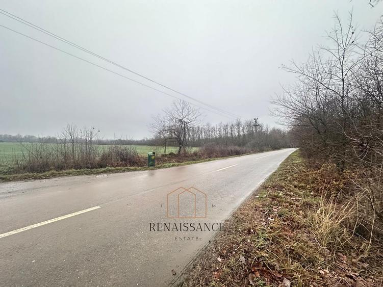 Giroc Teren 30.000mp PUZ APROBAT Pentru Case | Asfalt - Langa Padure