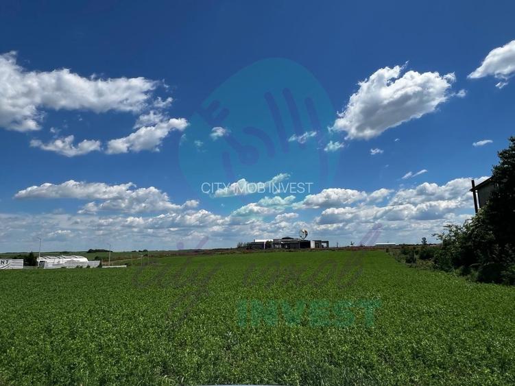 Teren intravilan 1.000 mp | Lângă Balta Pasărea | 20 de min de București - 5