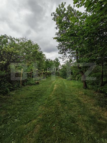 Oportunitate Investitie! Teren intravilan 14000 mp in Cheia