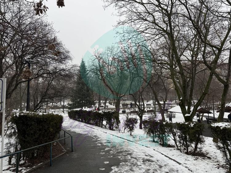 3 camere " LA CHEIE" cu vedere catre Parcul Plumbuita