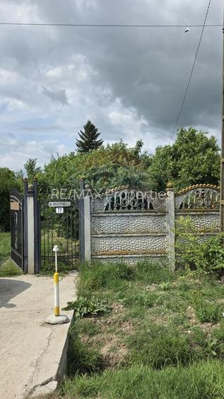 Domeniu rural, gospodarie/multifunctionala cu casa, livada, vie - 49