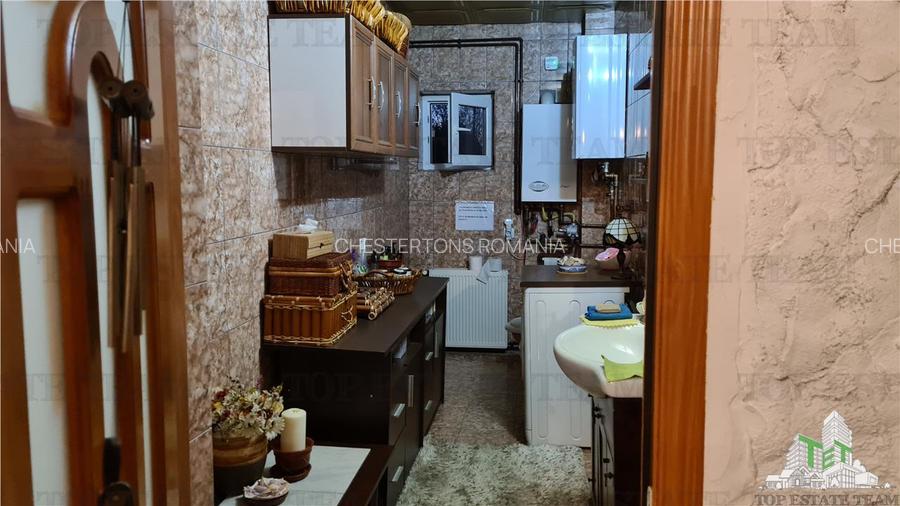 Super afacere, vila cu aspect de conac cu spatii moderne dar si clasice antichiz - 28