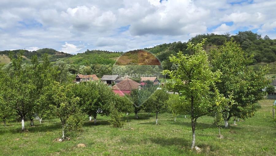 Casă cu teren generos de 2.800 mp la 38 km în satul Elciu - 12