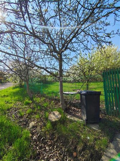 UAT Iasi - Trecatoarea Paun - ideal pentru casa - Bucium 750mp - 3