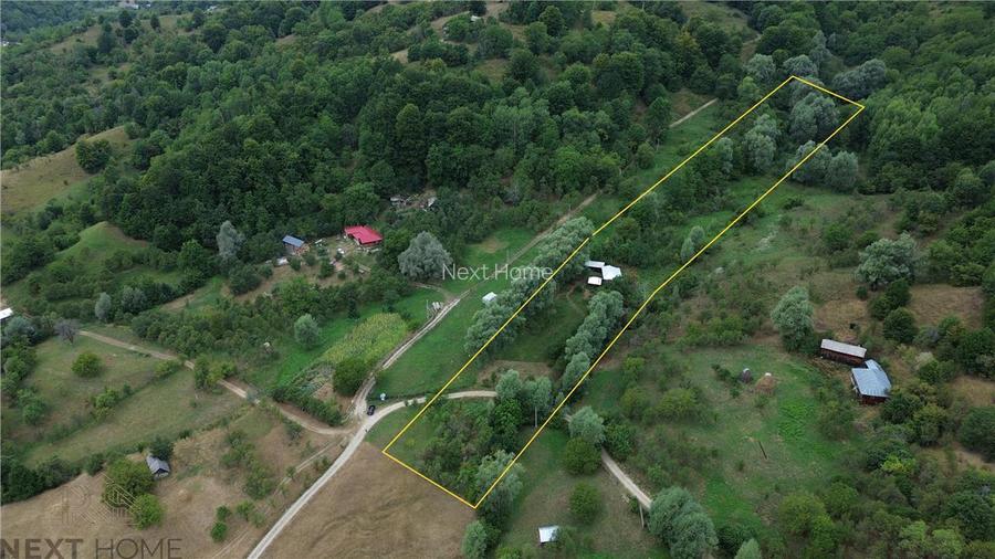 Casa cu teren 5.913 mp de vanzare in Paltin, Vrancea - zona pitoreasca
