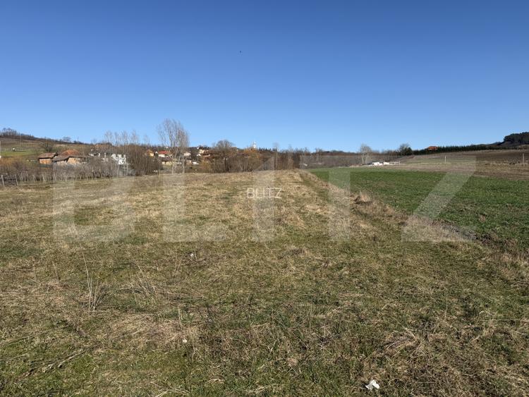 Teren intravilan in localitatea Hereclean in suprafata de 5800 mp - 5