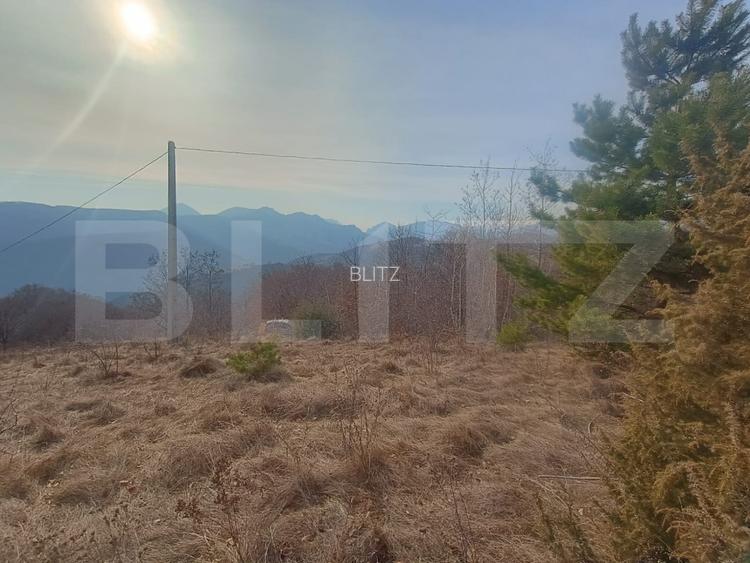 Teren extravilan, 12000 mp, curent com. Ramet - 6