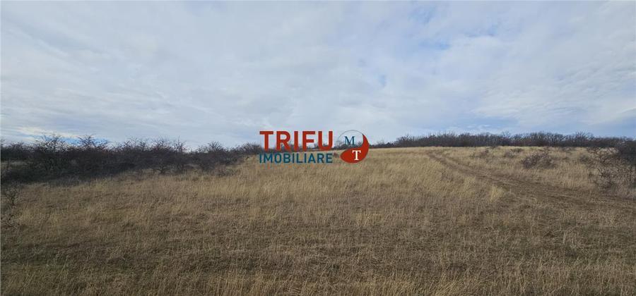 Teren extravilan în zona Pâclișa