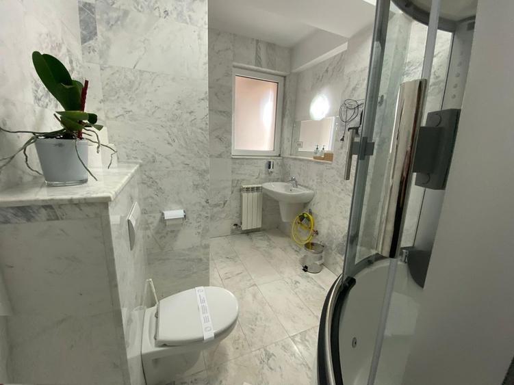Rooftop-Penthouse-Ultracentral-Lift in zona de living. 6 camere, 460+mp