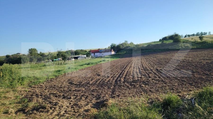 Teren ideal pentru constructie, 2722 mp in Ghercesti