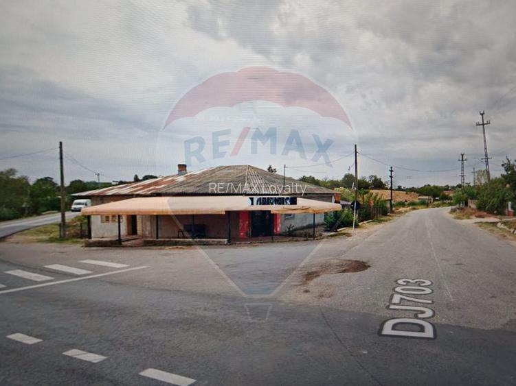 DE VANZARE CASA CU TEREN INTRAVILAN 2860 MP IN BALACI, TELEORMAN - 2