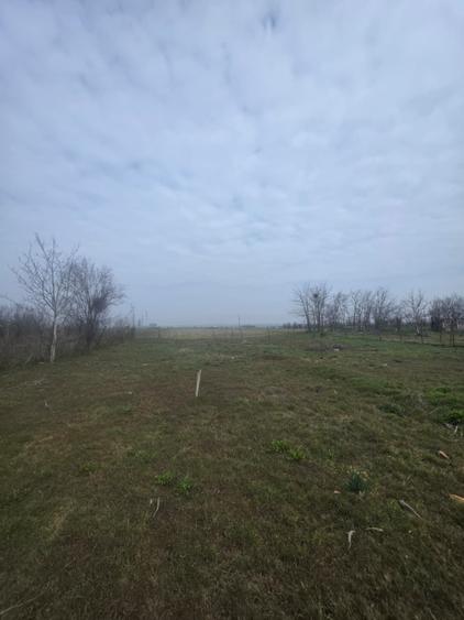 Teren intravilan, 5000 mp, zona Rovine 2 UTILITATI