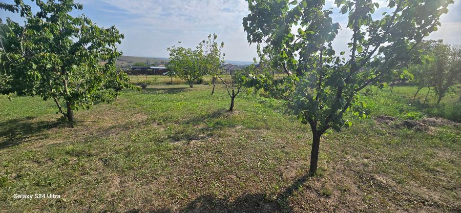 Teren cu cabanuta de lemn in Zaicesti