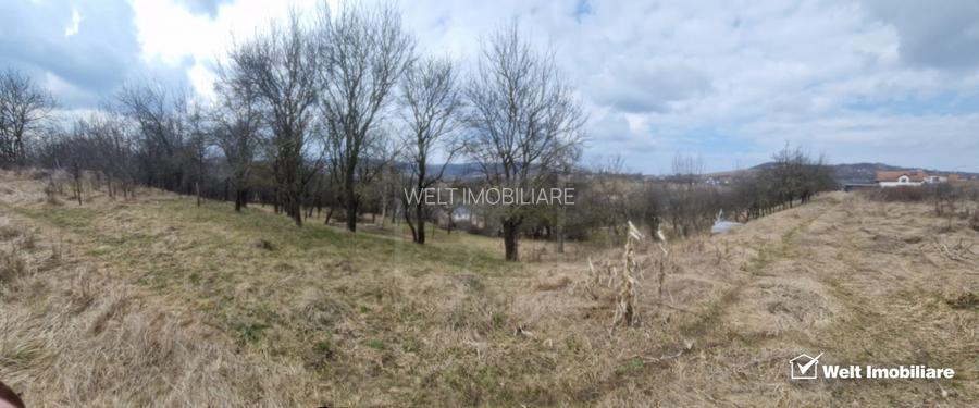 Casa la tara, la 30 min de Cluj – renovata, livada pe rod si teren 1000 mp - 8