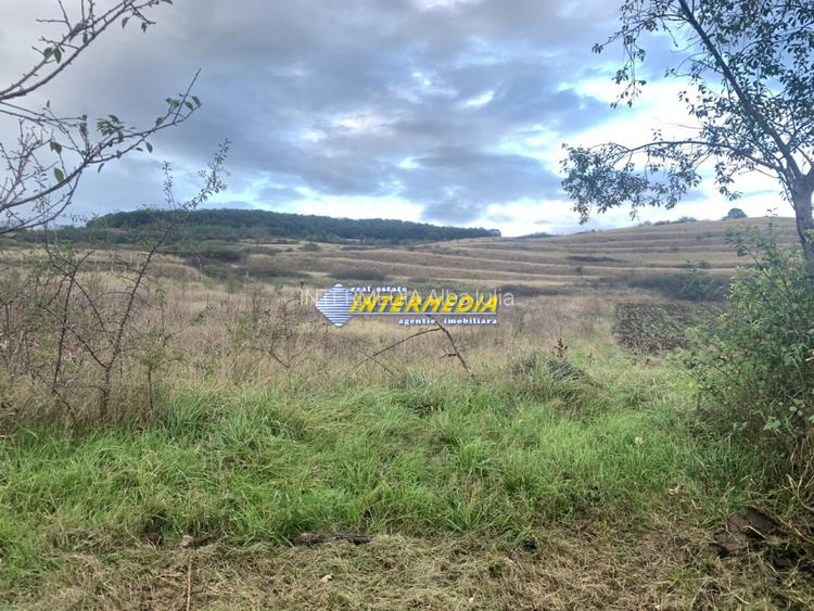 Teren intravilan de vanzare 1248 mp d=15 mTeleac cu utilitati panorama deosebita - 2