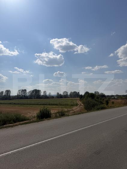 Teren extravilan, 9000 mp, zona Nusfalau