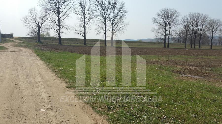 Teren intravilan | De vanzare | 10000 mp | 50 ml deschidere | Partos