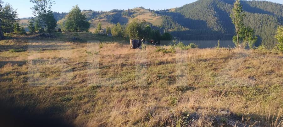 Teren intravilan, 3000 mp, Sat Garda de Sus