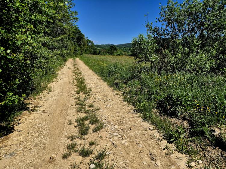 823 mp teren extravilan Sinca Noua/ideal amplasat rulota/cabana
