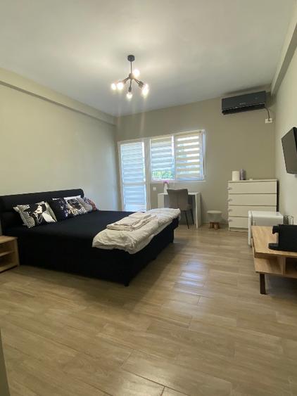Spatiu comercial + garsoniera ( P+1 )