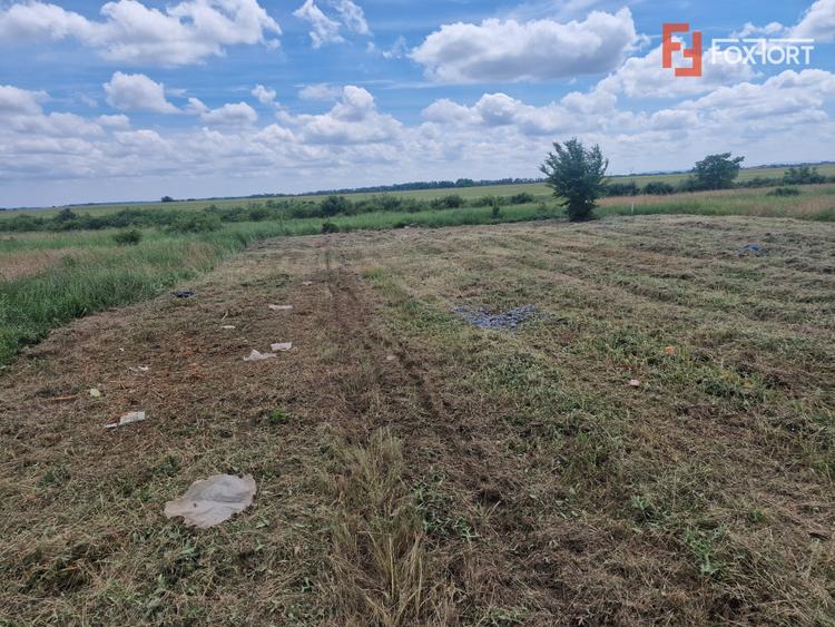 Teren intravilan de 743 mp in Mosnita Veche