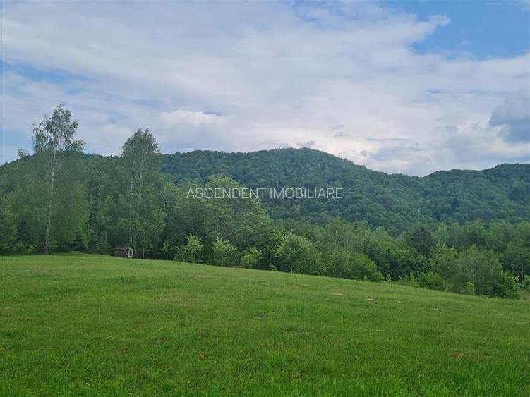 FILM! Oaza paradisiaca cu lac, vedere catre Bucegi, Glajerie/ Rasnov, pretabil C - 21