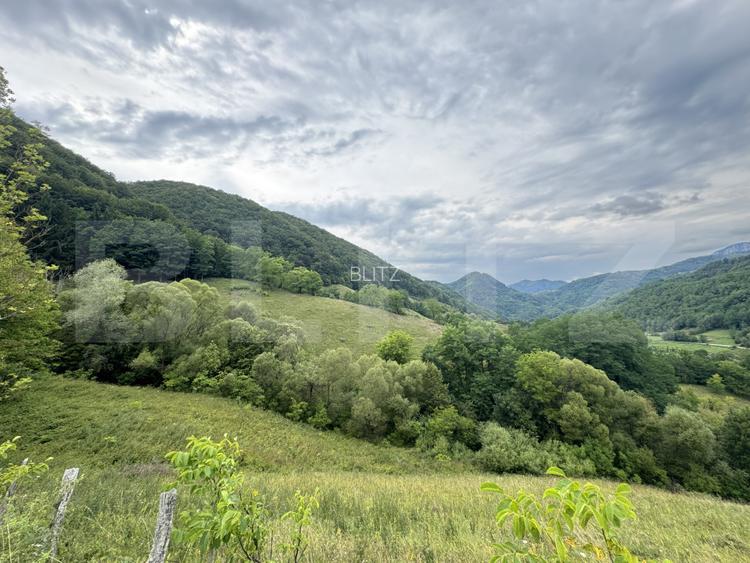 Teren extravilan 23.376 mp, în apropiere de Brad - 4