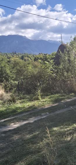 Teren intravilan Sohodol, priveliste catre Bucegi, Piatra Craiului,Magura Codlei