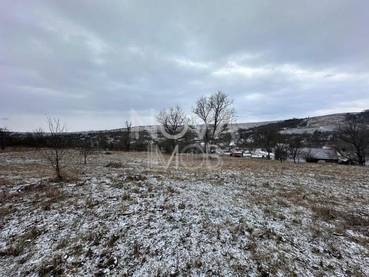 Casa individuala cu teren generos – 8.356 mp – Tichindeal, jud. Sibiu