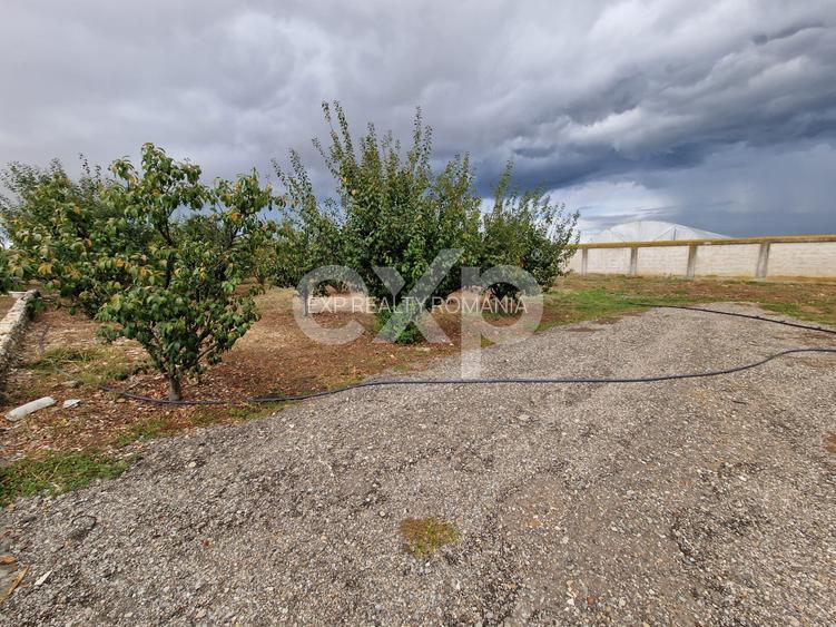 Teren de vanzare  intravilan 660 mp + 1500 livada  Racovița (DB) - 3