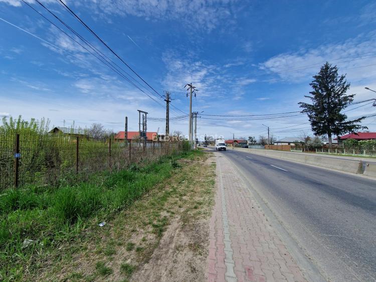 2 Loturi Teren Intravilan 1500 MP Tartasesti Deschidere 30 M / 36 M Utilitati - 9
