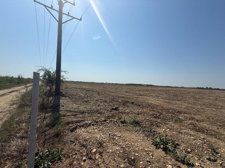 Vand teren autostrada Bucurest Pitesti A1 30000 mp (3ha) cu deschidere la A1