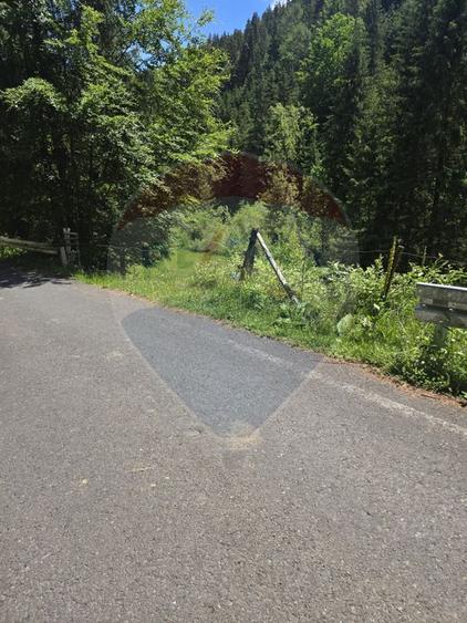 Teren intravilan Arieseni | Oportunitate de Investiție