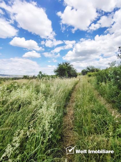 TEREN PENTRU REFUGIUL TAU IN NATURA - BORHANCI - 11