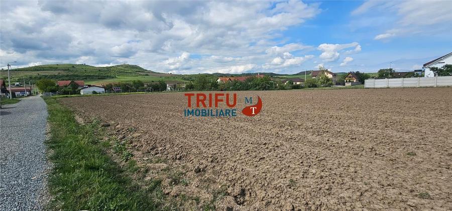 Teren de vanzare Ighiu !