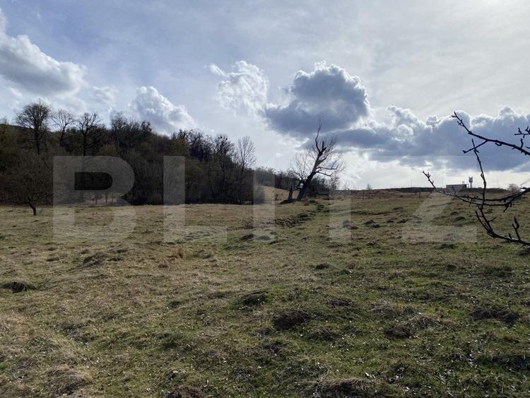 Teren extravilan in suprafata de 7500 mp la poalele Mesesului
