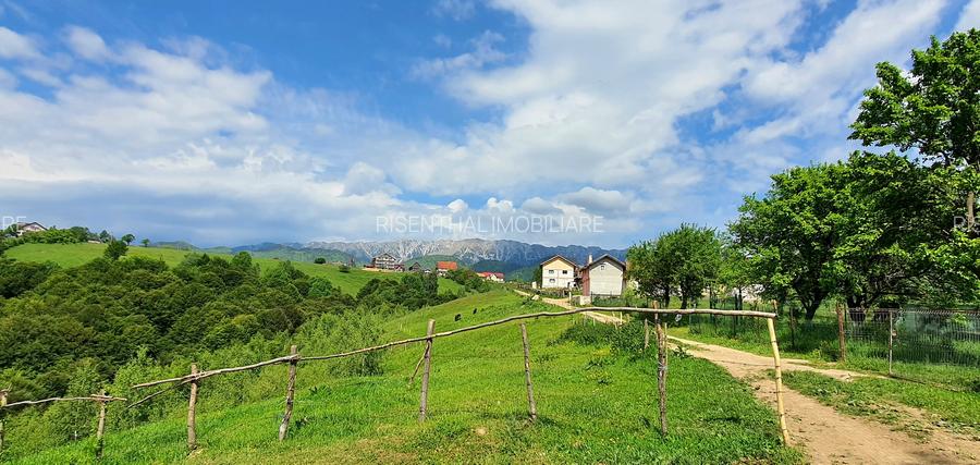 Teren pentru casa de vacanta , Pestera , Brasov - 7