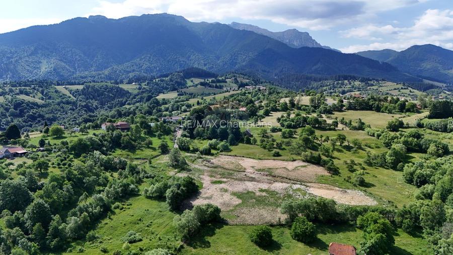 Teren intravilan 1900 mp | Bran / Sohodol | Priveliște superbă - 6