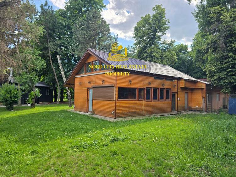 Spatiu comercial Parcul Herastrau-Restaurant Cafeanea-Vanzare-Asociere