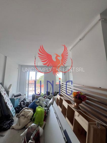 Apartament pe 2 niveluri, 268 mp, Gradina Botanica - 18