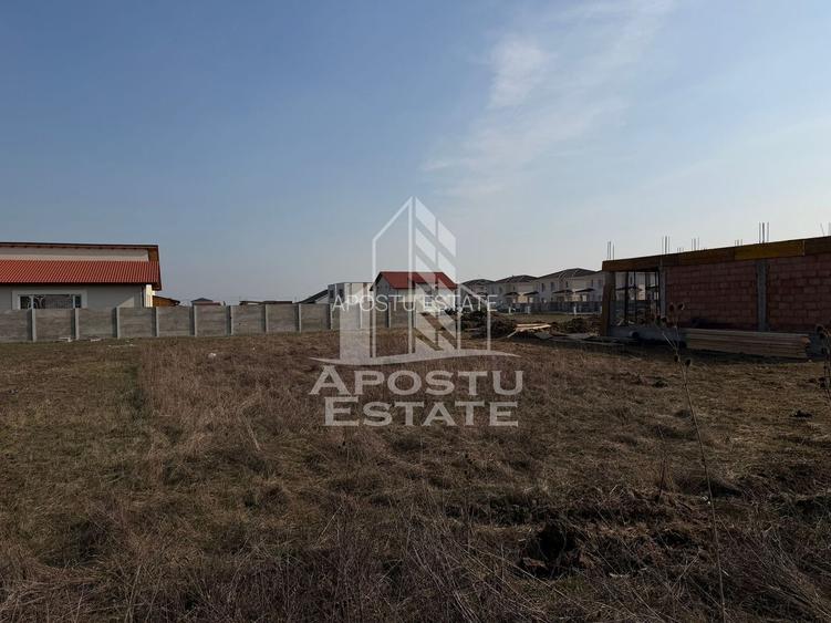 Parcela de 600 mp, in Mosnita Noua - 2
