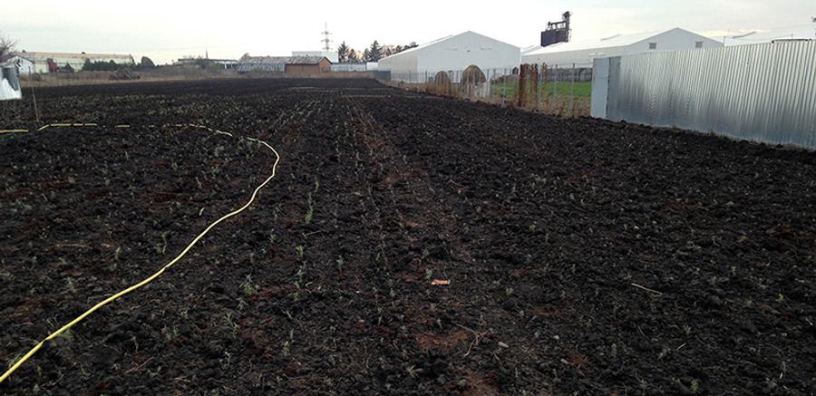 Teren intravilan 1,2 ha *12000 mp, casa 61 mp, sera, front stradal 15 m