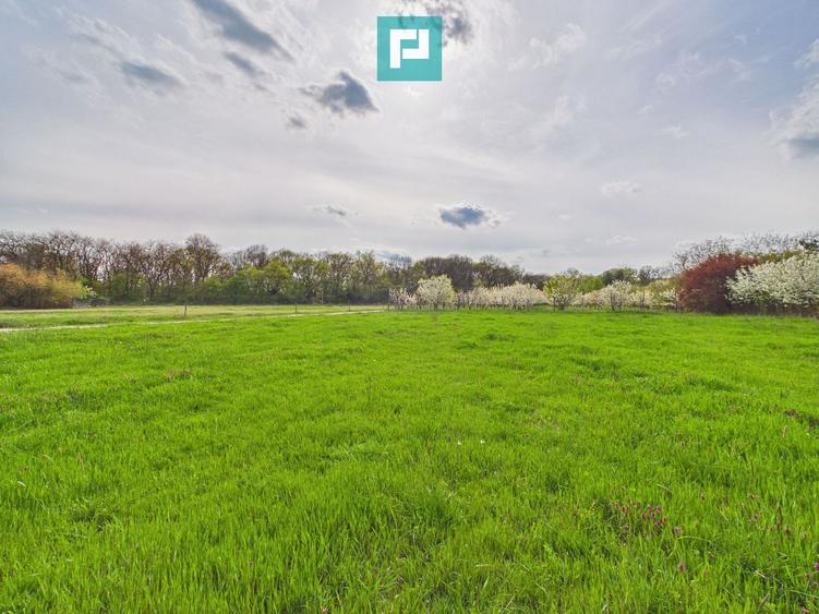 Teren intravilan, 820 mp, Pădure Giroc