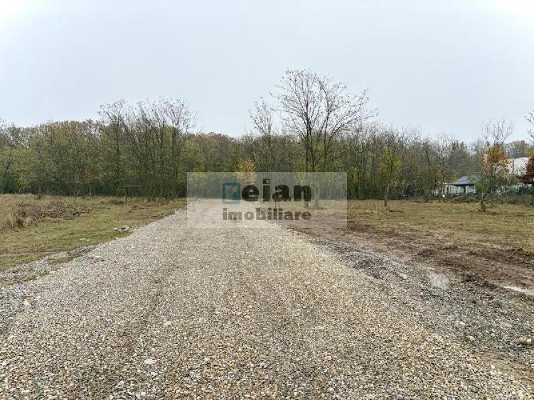 Snagov Ciofliceni - Teren 668 Mp, D 30 M, Gaz, Curent, Asfalt, Padure