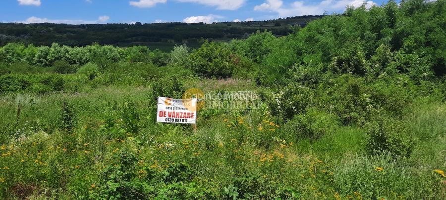 🌳 🌞🌿 TEREN INTRAVILAN  2800 mp - 30 Euro/mp  - RATE LA  NOTARIAT  ! 🌳🌞🌿 - 4