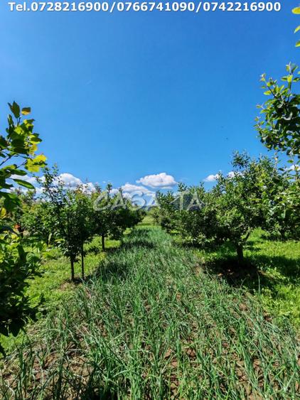 Casa situata in Samarinesti, sat Valea Bisericii