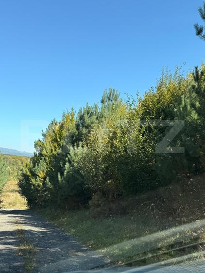 Teren intravilan, 2.000 mp, zona Geamana - Codlea